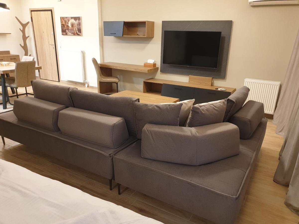 Olive Deluxe Apartment Karditsa Luaran gambar