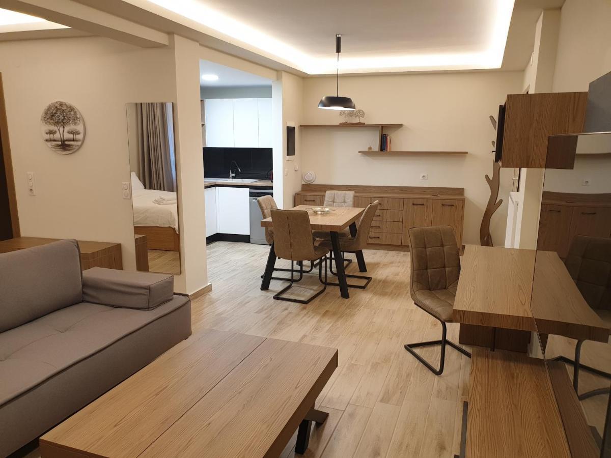 Olive Deluxe Apartment Karditsa Luaran gambar