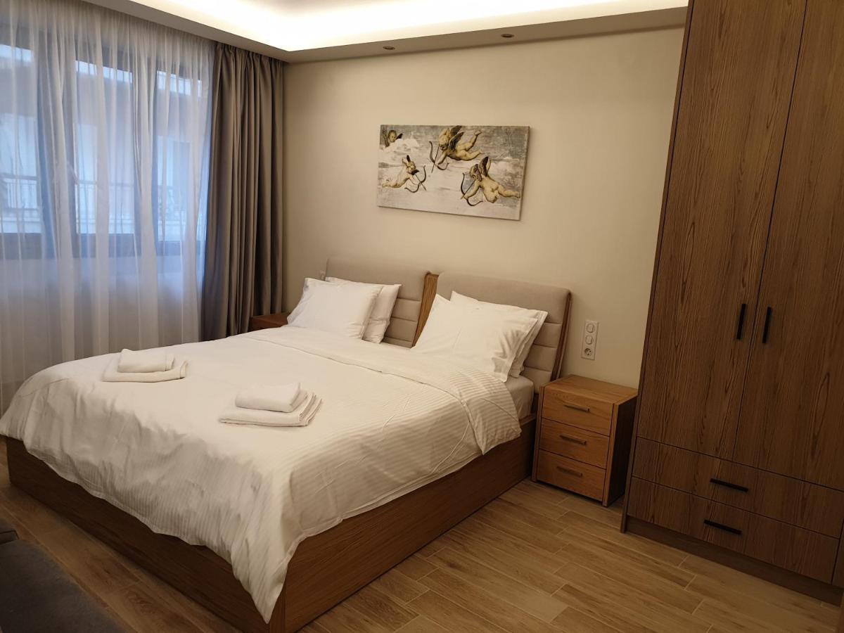 Olive Deluxe Apartment Karditsa Luaran gambar