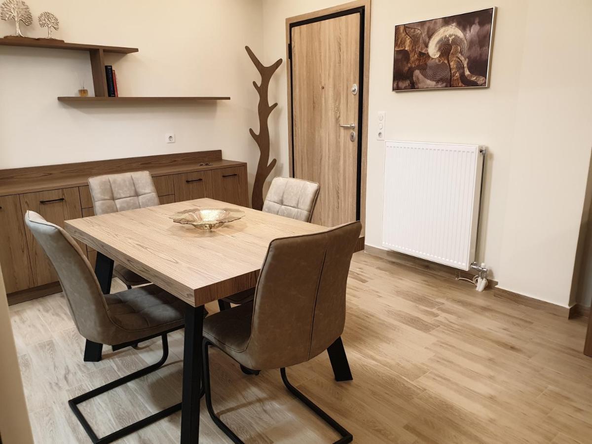 Olive Deluxe Apartment Karditsa Luaran gambar
